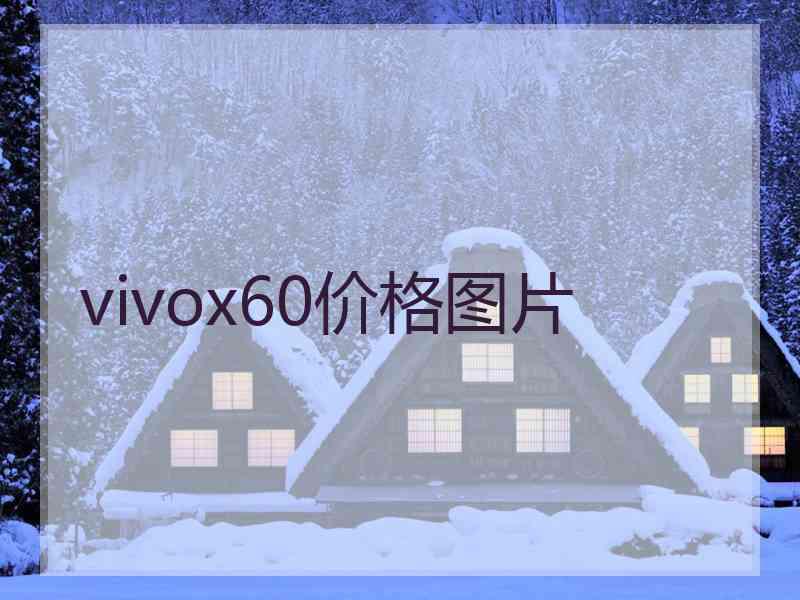 vivox60价格图片