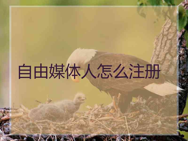 自由媒体人怎么注册