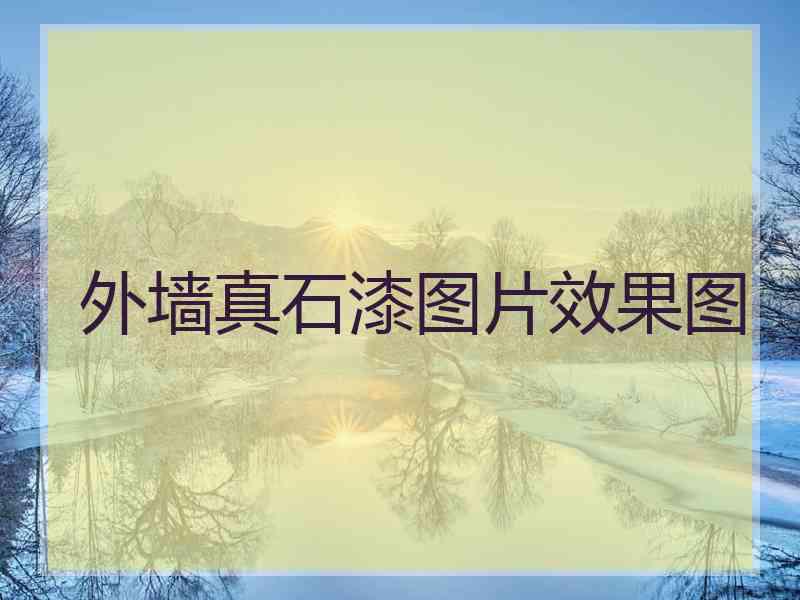 外墙真石漆图片效果图