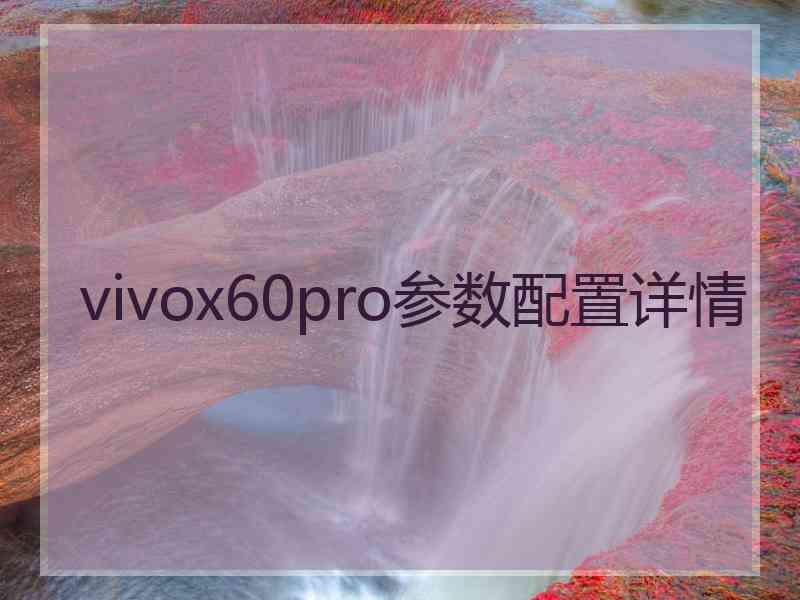 vivox60pro参数配置详情
