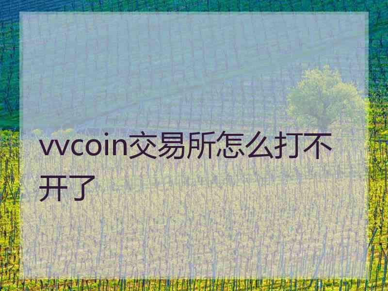 vvcoin交易所怎么打不开了