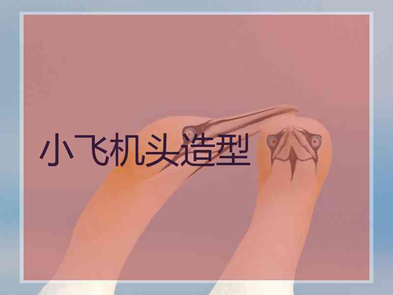 小飞机头造型