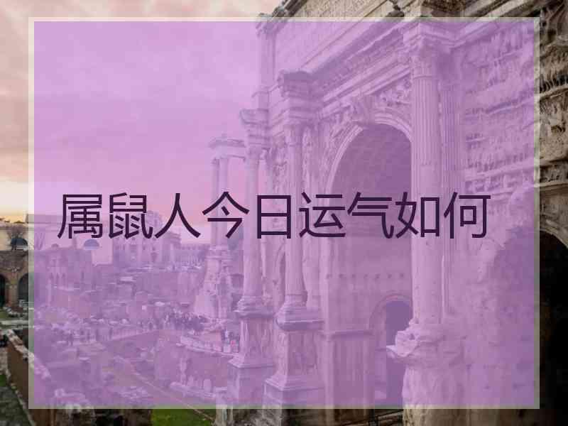 属鼠人今日运气如何