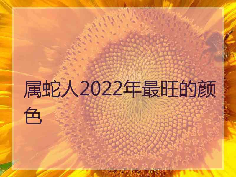 属蛇人2022年最旺的颜色