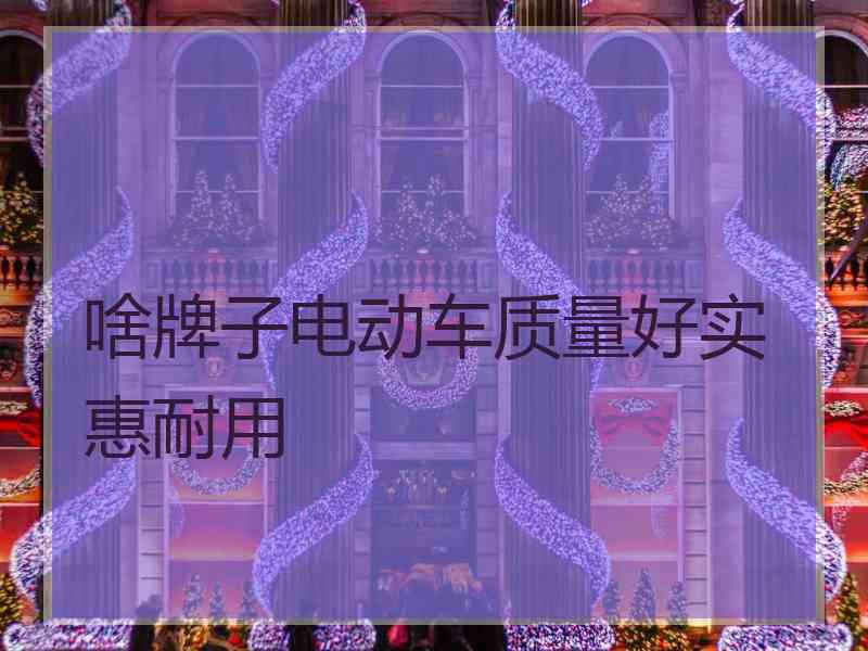 啥牌子电动车质量好实惠耐用