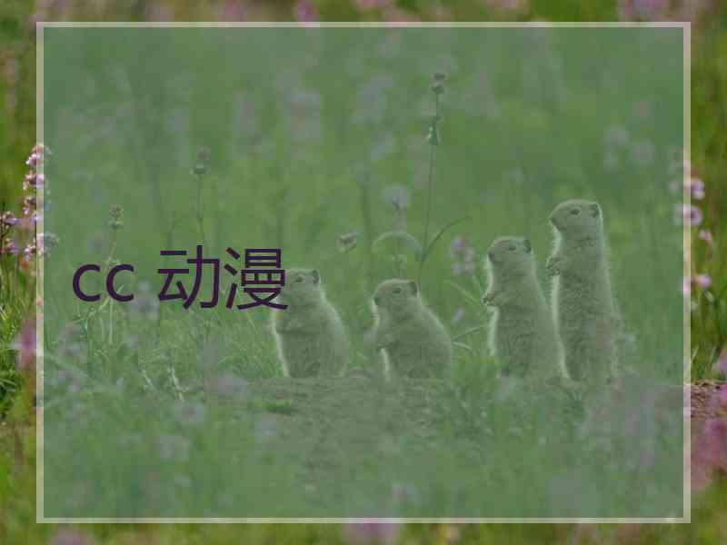 cc 动漫