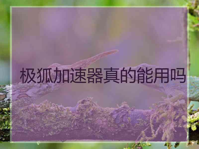 极狐加速器真的能用吗