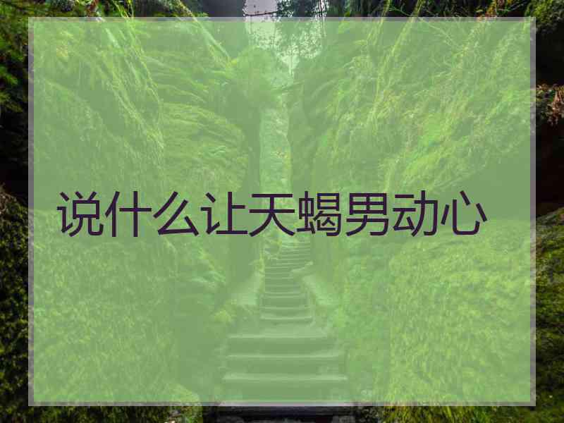 说什么让天蝎男动心
