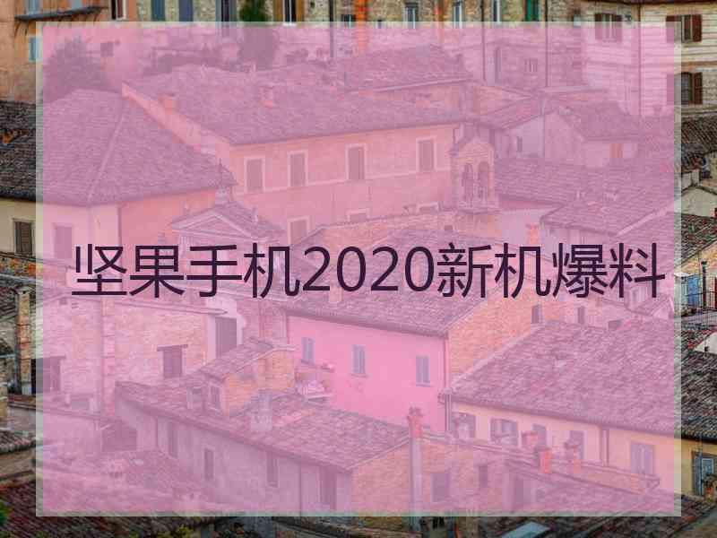 坚果手机2020新机爆料