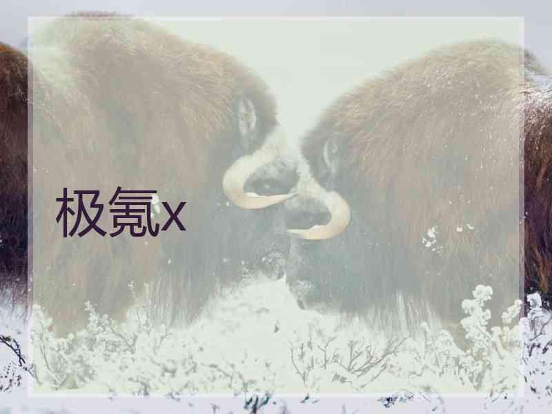极氪x