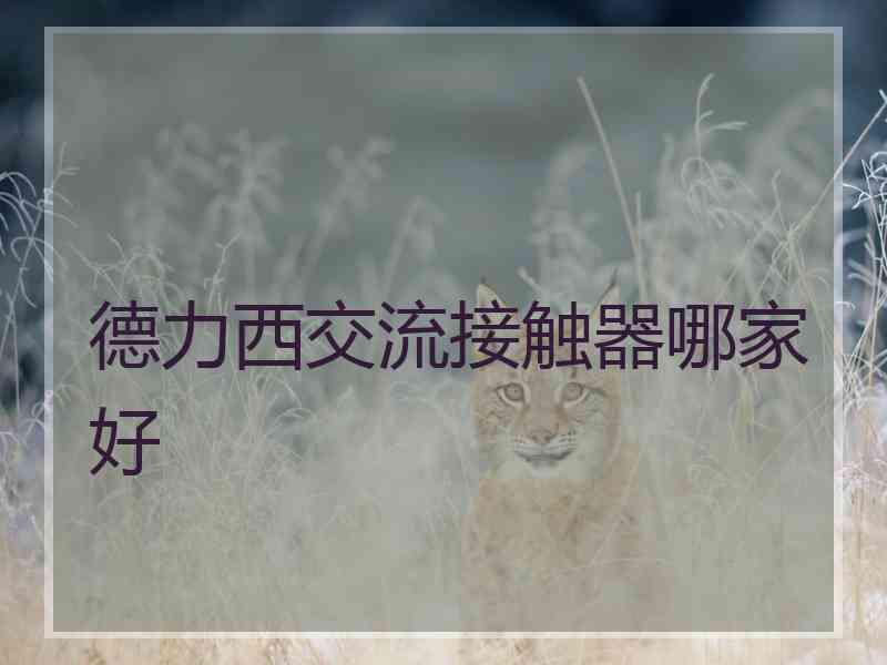 德力西交流接触器哪家好