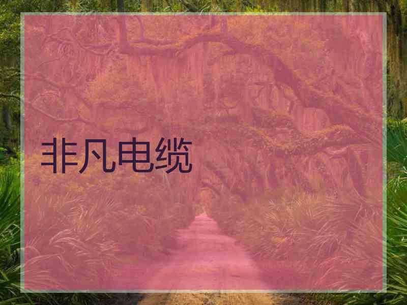 非凡电缆