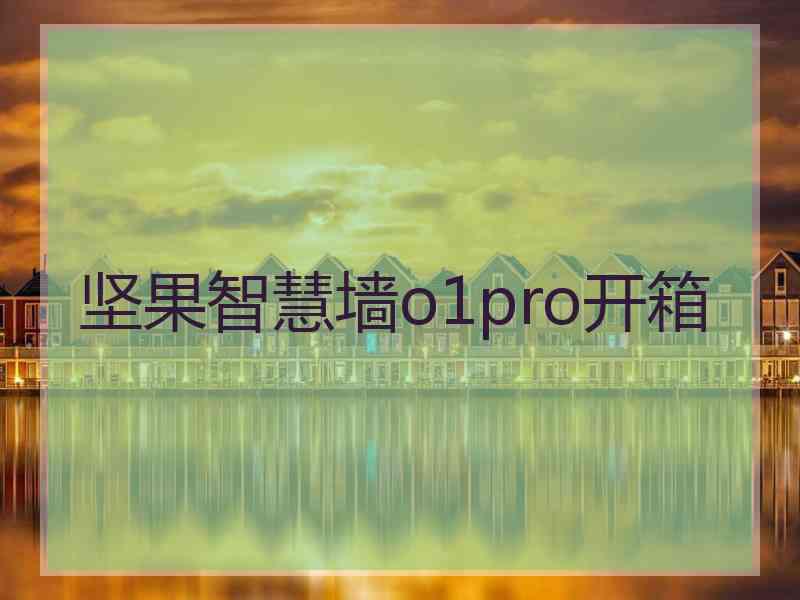 坚果智慧墙o1pro开箱