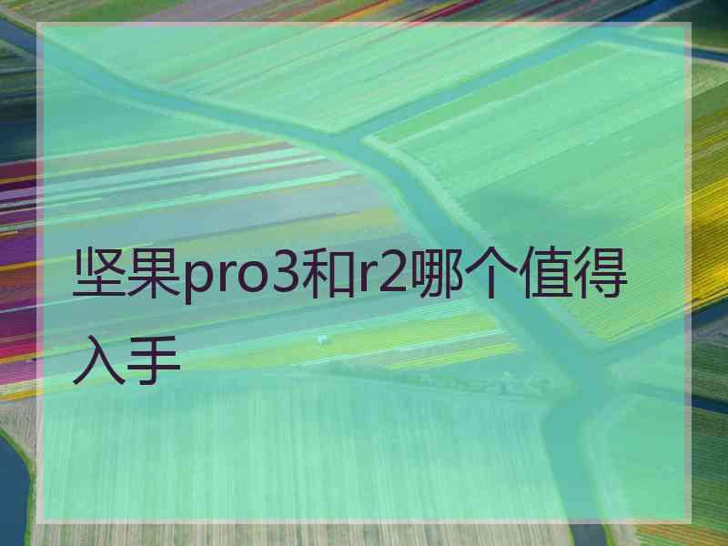 坚果pro3和r2哪个值得入手