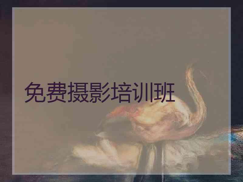 免费摄影培训班