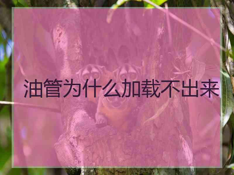 油管为什么加载不出来