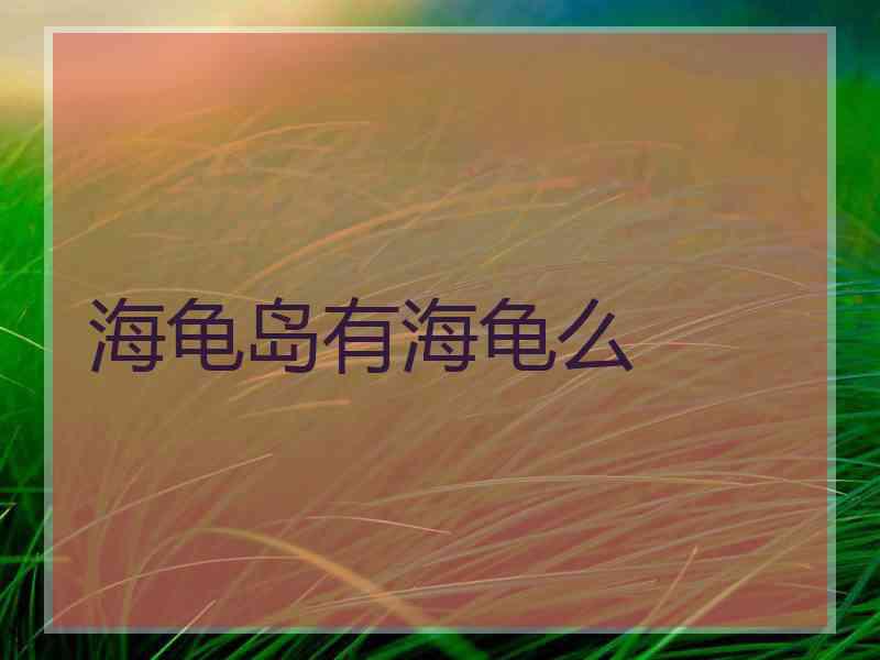 海龟岛有海龟么