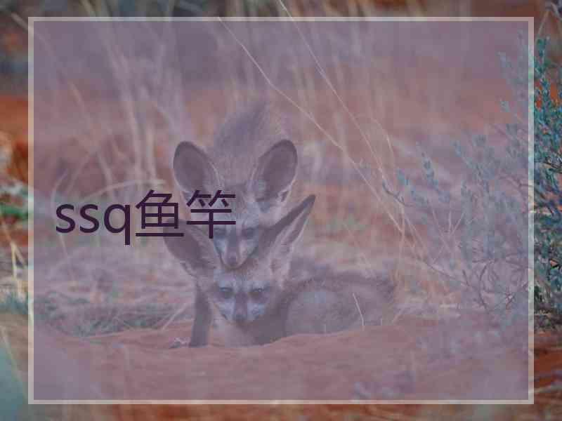 ssq鱼竿