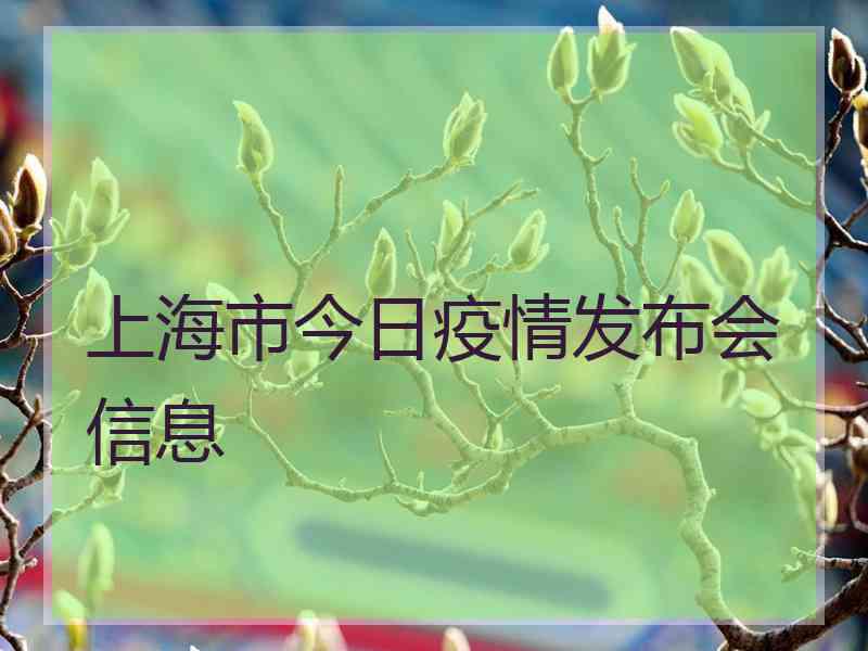 上海市今日疫情发布会信息
