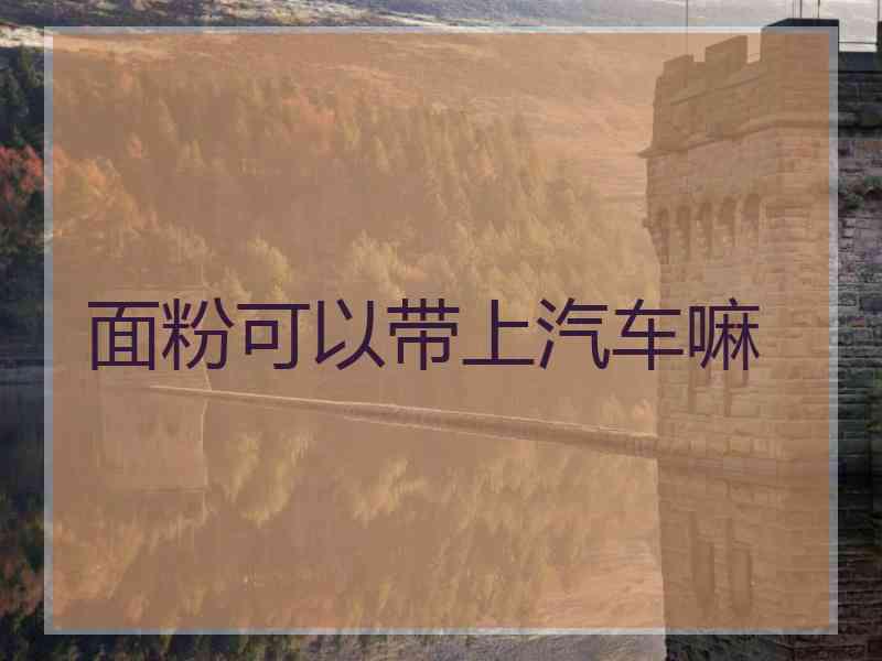 面粉可以带上汽车嘛