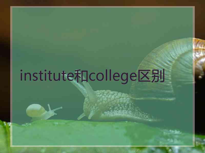 institute和college区别