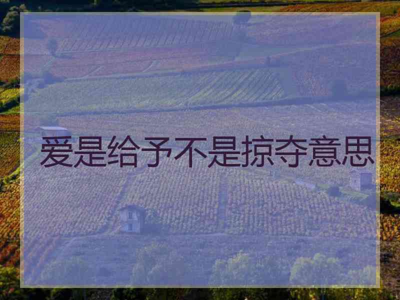 爱是给予不是掠夺意思
