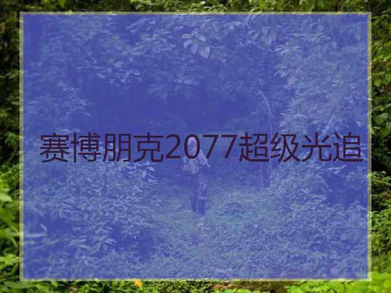 赛博朋克2077超级光追