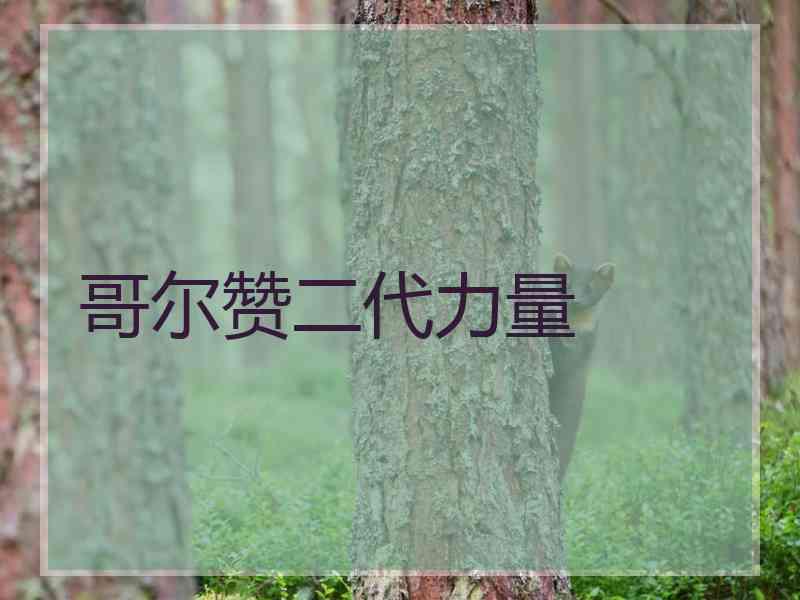 哥尔赞二代力量