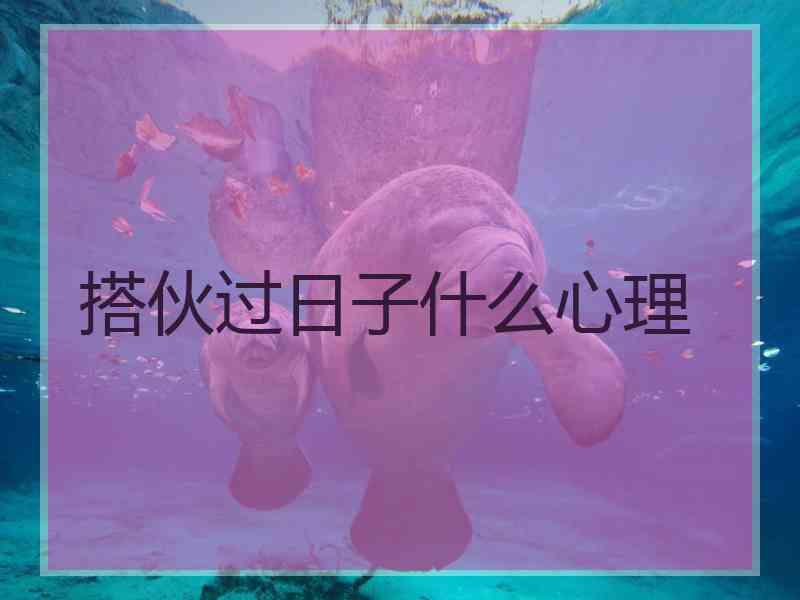搭伙过日子什么心理