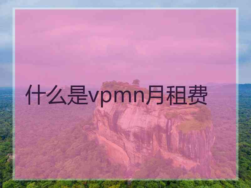 什么是vpmn月租费
