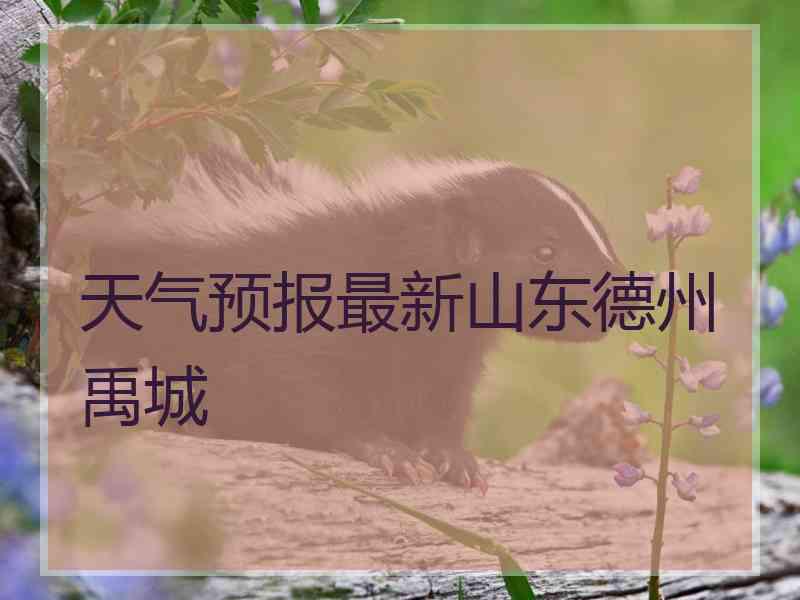 天气预报最新山东德州禹城