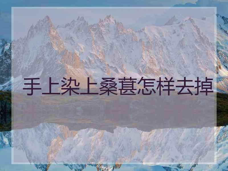 手上染上桑葚怎样去掉