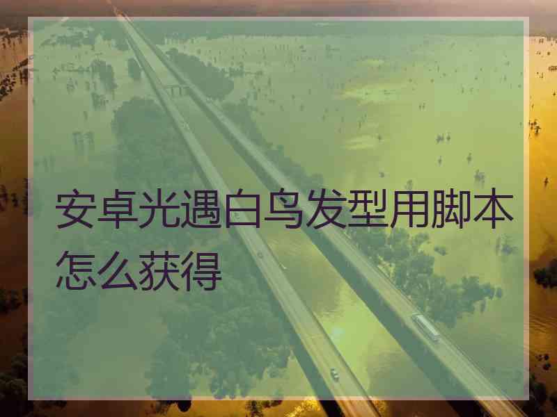 安卓光遇白鸟发型用脚本怎么获得