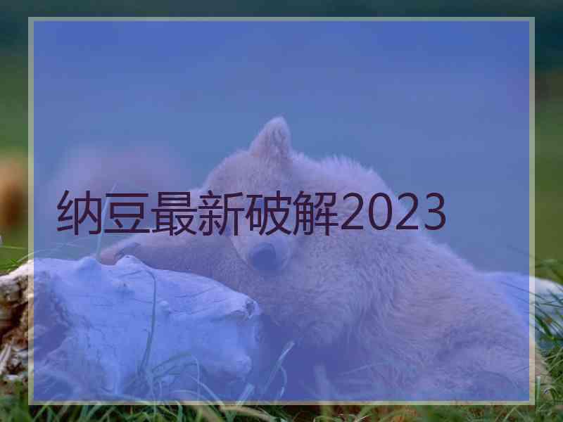 纳豆最新破解2023