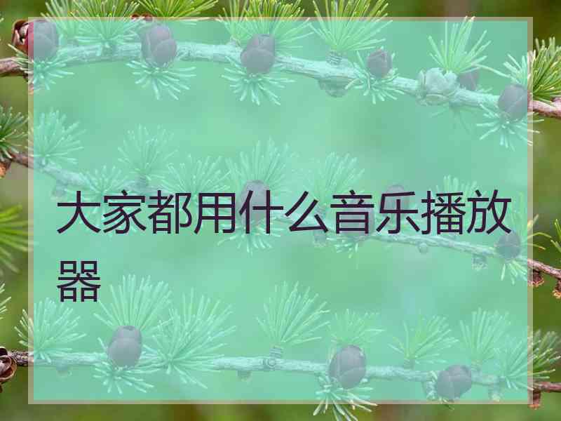 大家都用什么音乐播放器