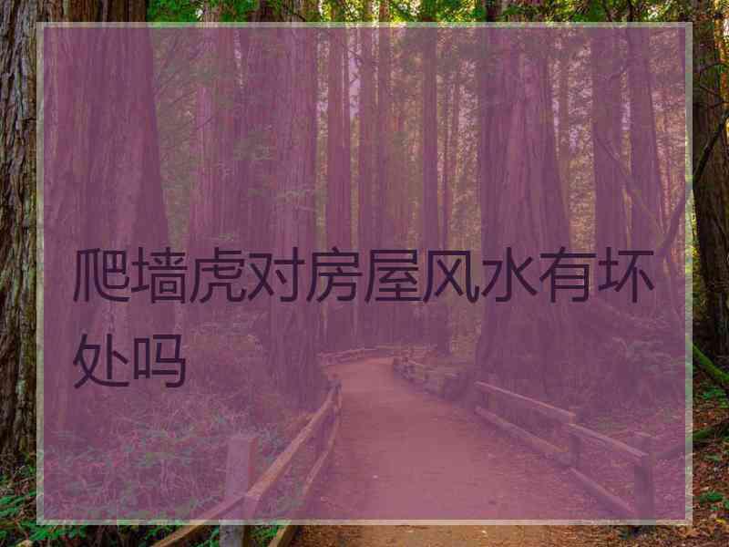 爬墙虎对房屋风水有坏处吗
