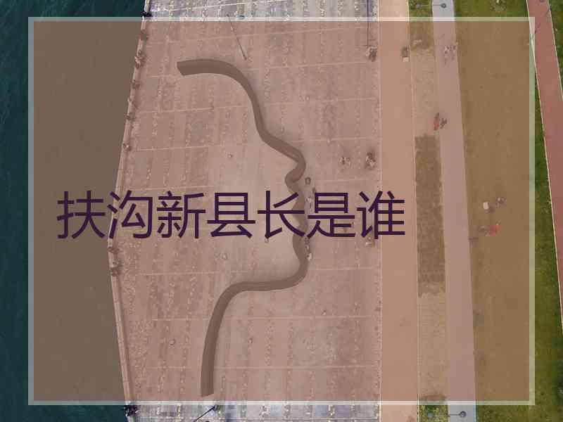 扶沟新县长是谁