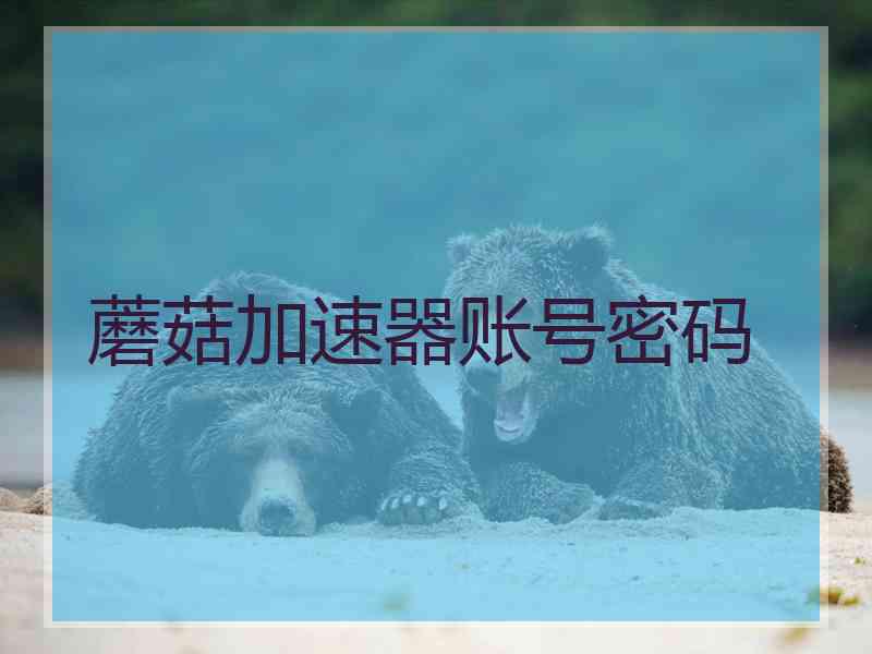 蘑菇加速器账号密码