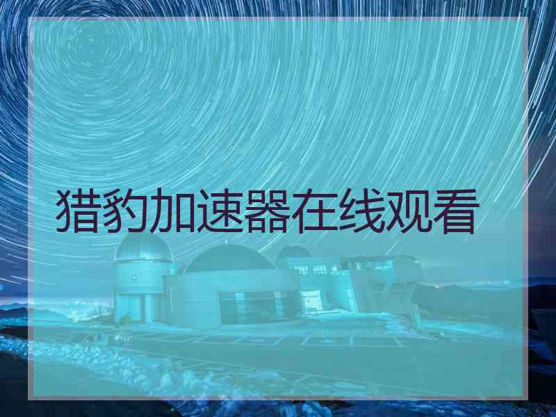 猎豹加速器在线观看