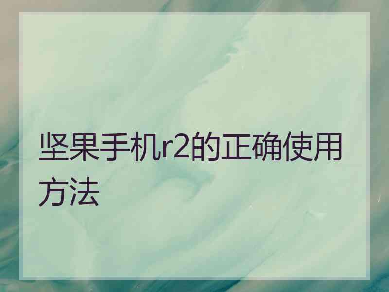 坚果手机r2的正确使用方法