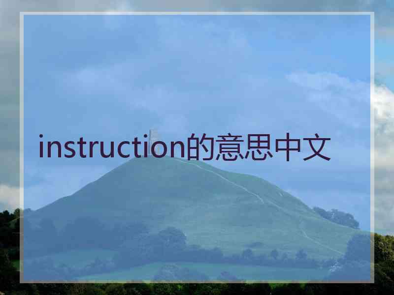 instruction的意思中文