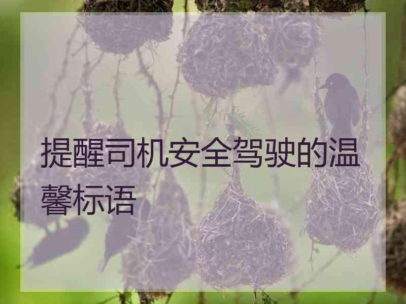 提醒司机安全驾驶的温馨标语