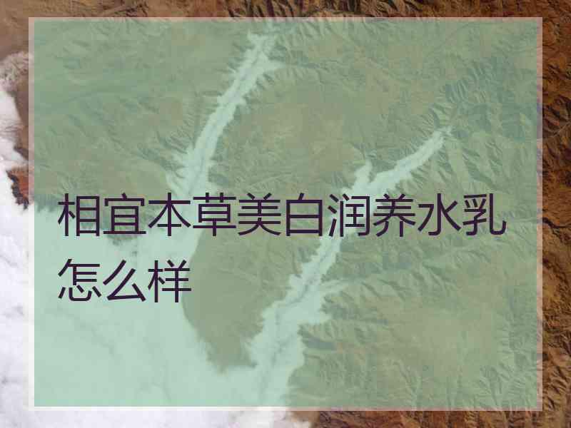 相宜本草美白润养水乳怎么样
