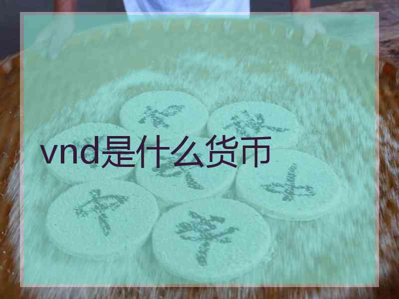 vnd是什么货币
