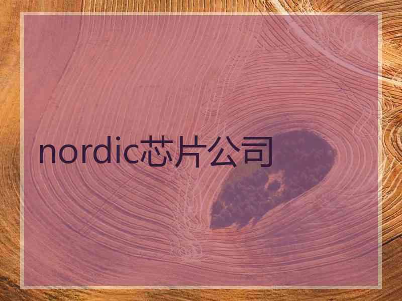 nordic芯片公司