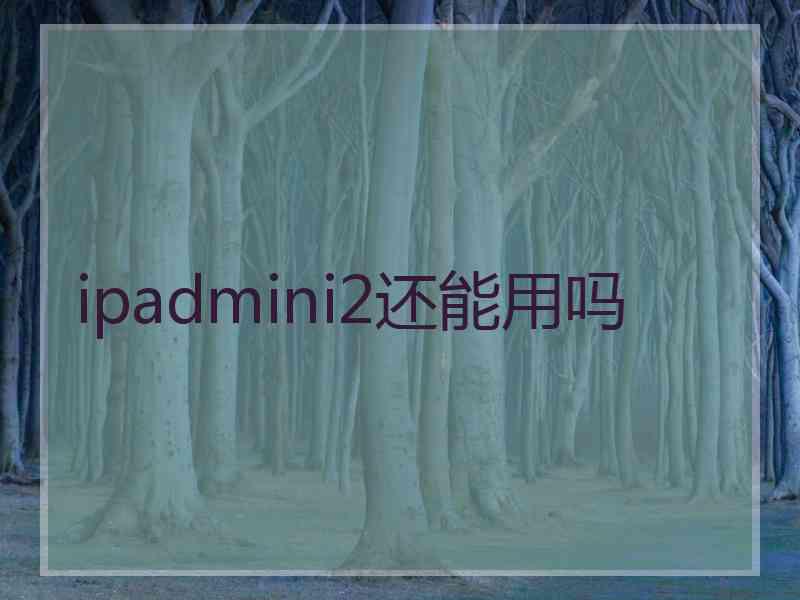 ipadmini2还能用吗