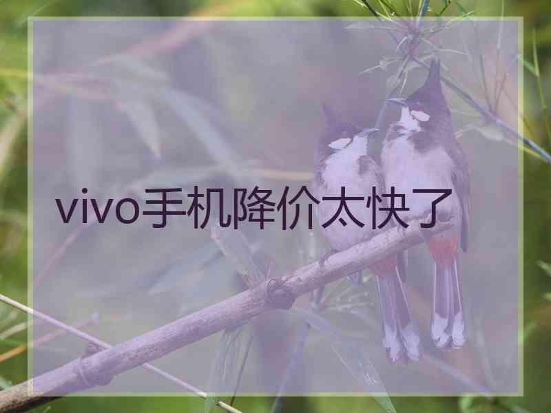 vivo手机降价太快了