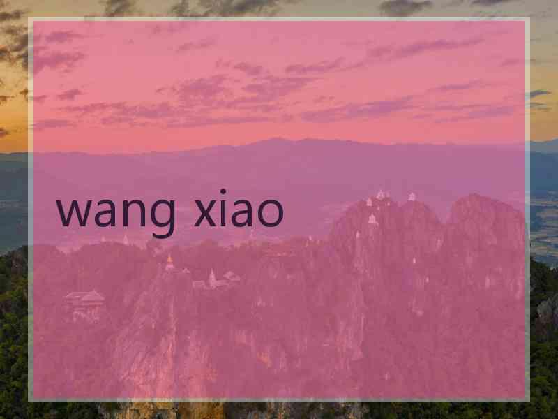 wang xiao