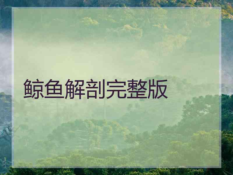 鲸鱼解剖完整版