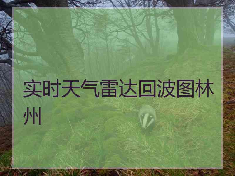 实时天气雷达回波图林州
